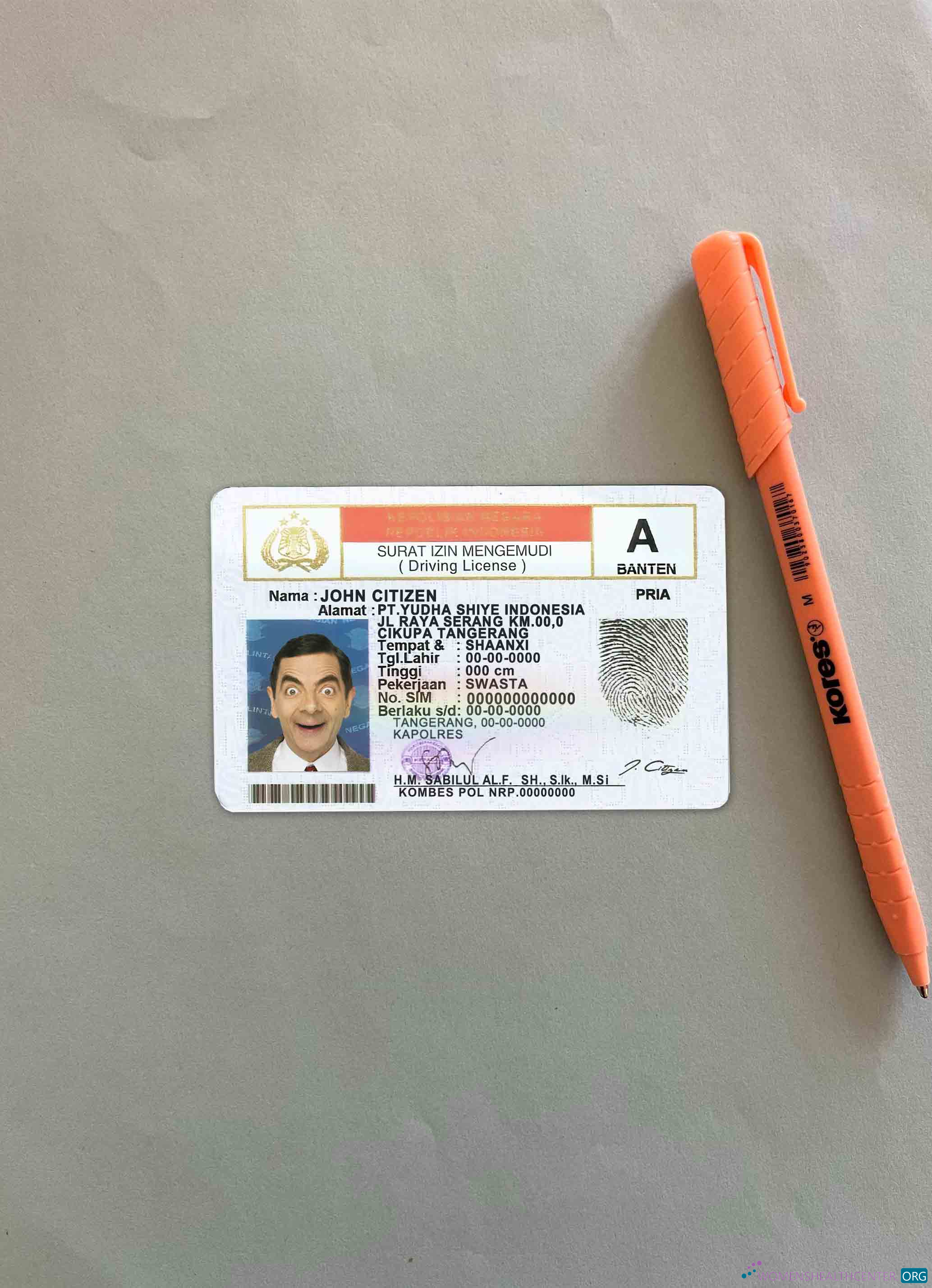 Download Indonesia DL photolook FRONT Photoshop template